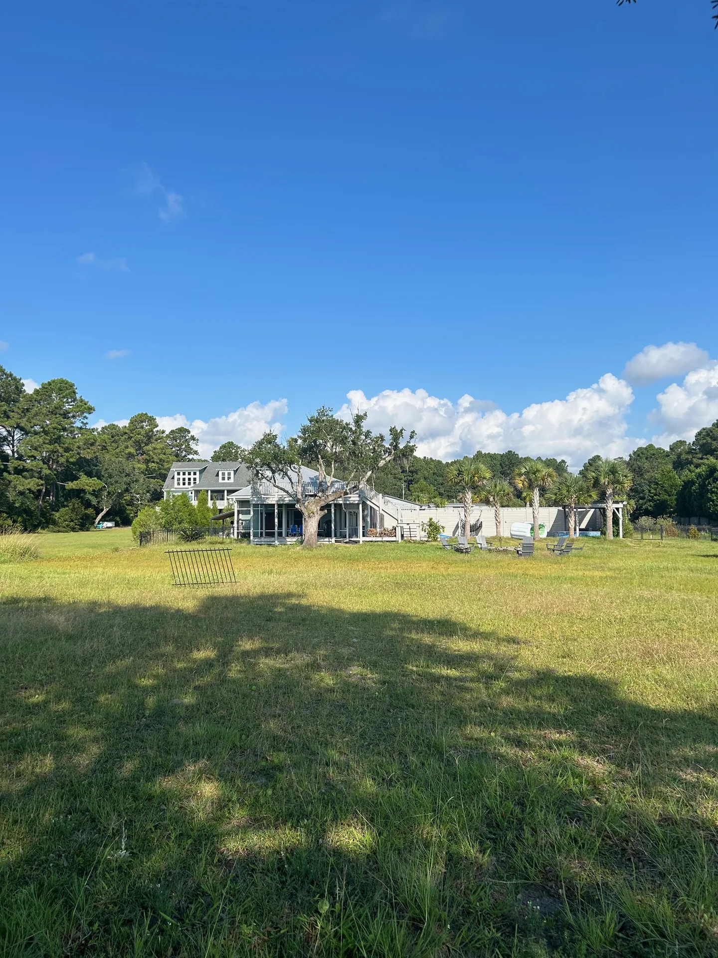 Expansive lawn stretching to the marsh under century-old live oaks with Spanish moss