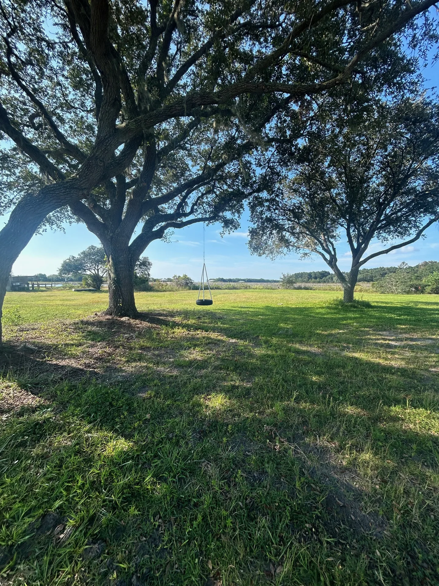 Close-up of the tire swing at golden hour with long shadows across the grass
